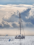 pic for Dolphin Sea
